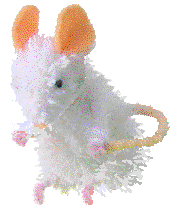 To order Fantastic Fairies and their friends & Making Fairies and Fantastical Creatures - How to weave in wool and chenille.