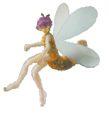 I'm Dragonfly, thanks for flying in, come in and meet some of my friends!